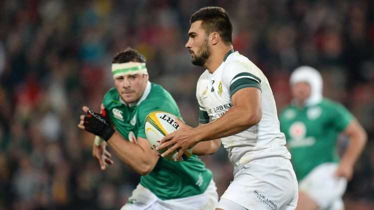Rugby : Irlande / Afrique du Sud, une rivalité historique