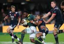 Rugby : l’Afrique du Sud affrontera l’Irlande et l’Ecosse Rugby : l’Afrique du Sud affrontera l’Irlande et l’Ecosse