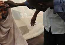 Nigeria : 172 morts de fièvre jaune