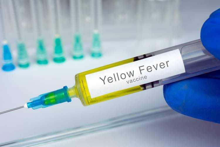 Vaccination healthcare concept. Hands of doctor or nurse in medical gloves with medical syringe ready for injection a shot of Yellow Fever vaccine. close up, selective focus