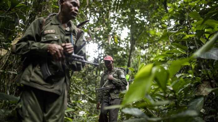 gardes-parc-virunga