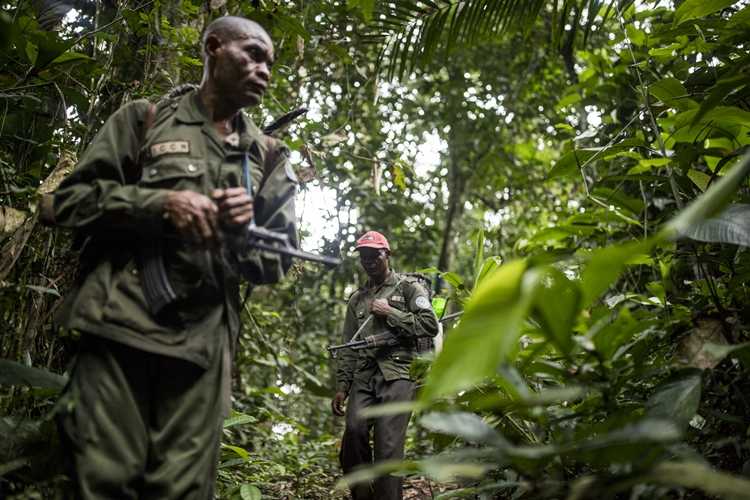 RDC : six rangers exécutés par des miliciens Maï-Maï