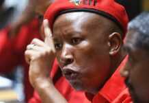 Julius Malema