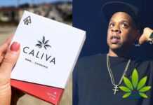 JAY-Z lance un fonds de plus 5 milliards pour les cannabis