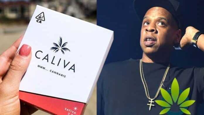 JAY-Z cannabis