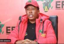 Afrique du Sud, Covid-19 : Julius Malema veut être le premier à recevoir le vaccin Afrique du Sud, Covid-19 : Julius Malema veut être le premier à recevoir le vaccin