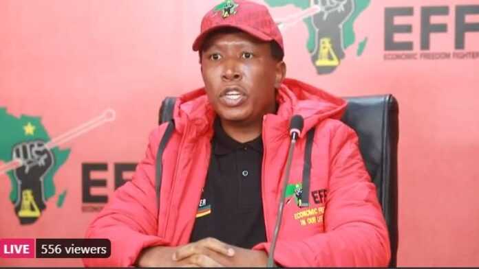 Julius Malema