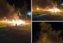 Tunisie : plus de 240 manifestants arrêtés par la police