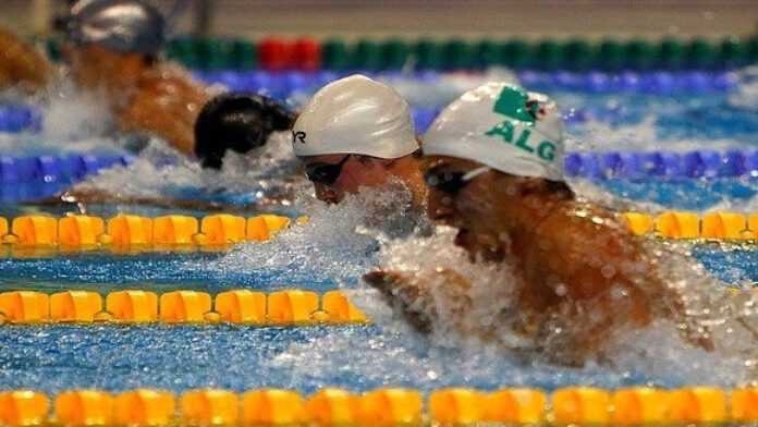 natation-algerie