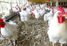 Lire aussi 2 Lire aussi 2