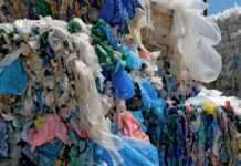 Ballots de sacs plastique