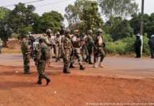 Centrafrique : les rebelles aux portes de Bangui