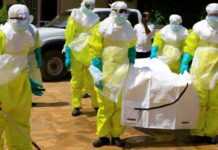 Maladie Ebola