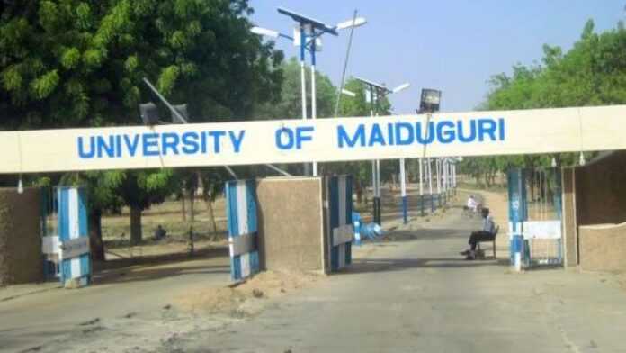 Université de Maiduguri