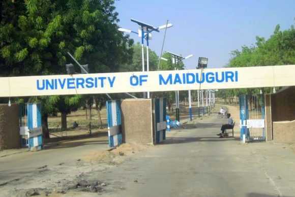 university-de-maiduguri