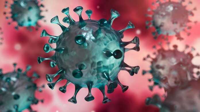 Coronavirus