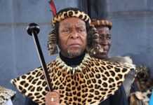 Goodwill Zwelithini