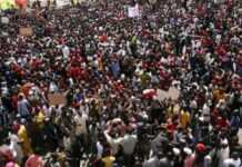 Population mondiale, nous serons 8 milliards de voisins dans trois mois Population mondiale