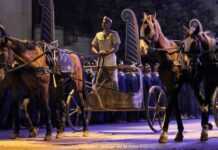 Le Caire et ses charrettes
