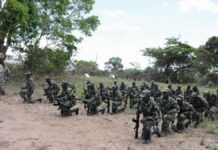 Les forces de défense du Mozambique