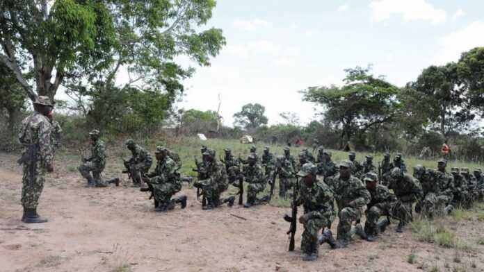 Les forces de défense du Mozambique