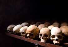 Crânes humains au Centre mémorial du génocide de Nyamata.