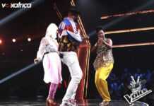 The Voice Afrique Francophone
