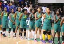 Afrobasket féminin