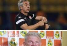 Alain Giresse et Paul Put