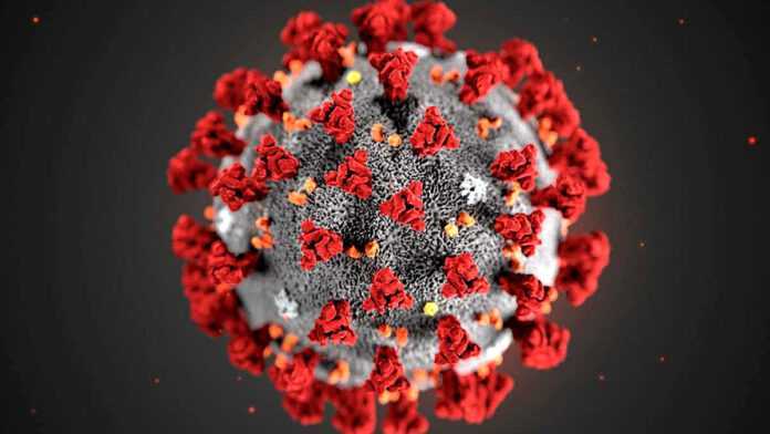 Coronavirus