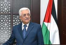 Mahmoud Abass