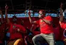 Julius Malema
