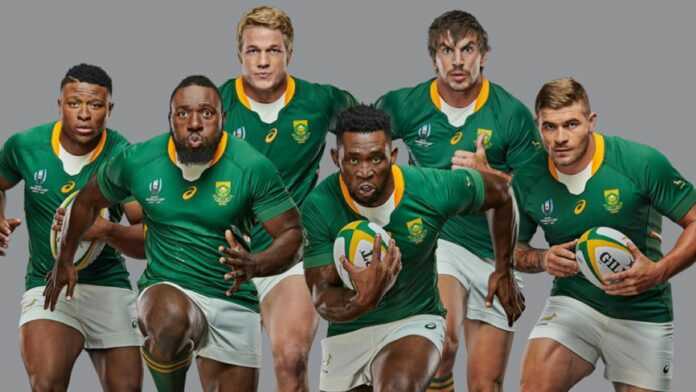 Les Springboks