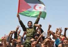 Appel à exclure le Sahara de l’Union Africaine Appel à exclure le Sahara