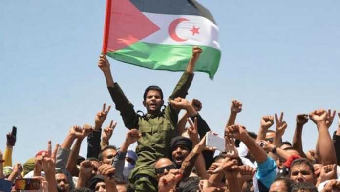 Call to oust Sahara