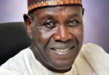 Nigeria : Buhari nomme un envoyé spécial pour le Tchad Babagana Kingibe