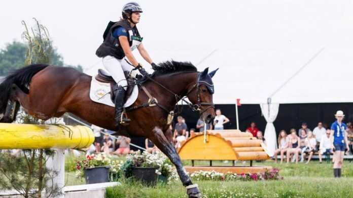 Equitation Algérie