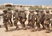 Les Forces armées maliennes