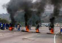Free Zuma manifestations
