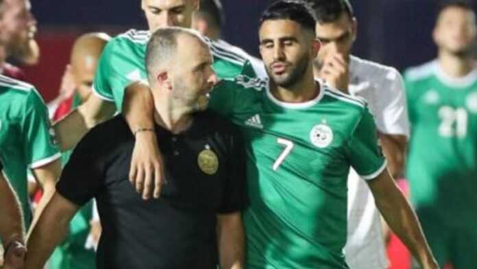 Belmadi et Mahrez