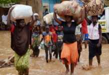 Cinq morts au Niger et 800 têtes de bétail emportées par les eaux Le Niger sous les eaux