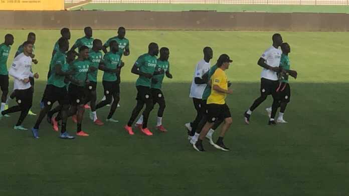 Les Lions à l'entraînement