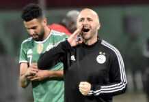 Djamel Belmadi se lâche : « Nous sommes tous accablés… » Djamel Belmadi