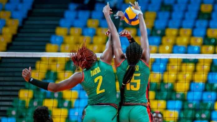 Cameroun (Volley)