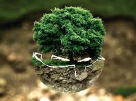 Ecologie (illustration)