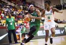 Afrobasket féminin : le derby Sénégal / Guinée en ouverture Nigeria vs Sénégal