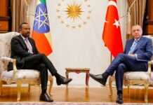 Guerre au Tigré : la Turquie a-t-elle fourni des drones de combat à l’Éthiopie ? Abiy Ahmed et Recep Tayyip Erdogan (15 oct 21)