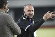 Affaire Delort : Belmadi décroche le soutien de Domenech Djamel Belmadi (17 oct 21)