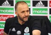 Djamel Belmadi, Algérie