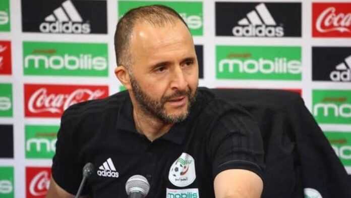 Djamel Belmadi, Algérie